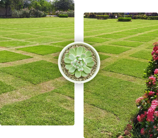 bakul