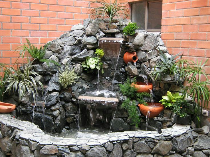 Plant