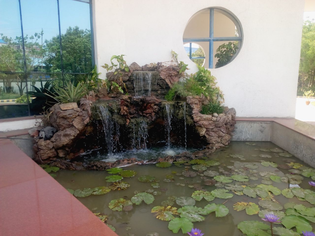 Plant