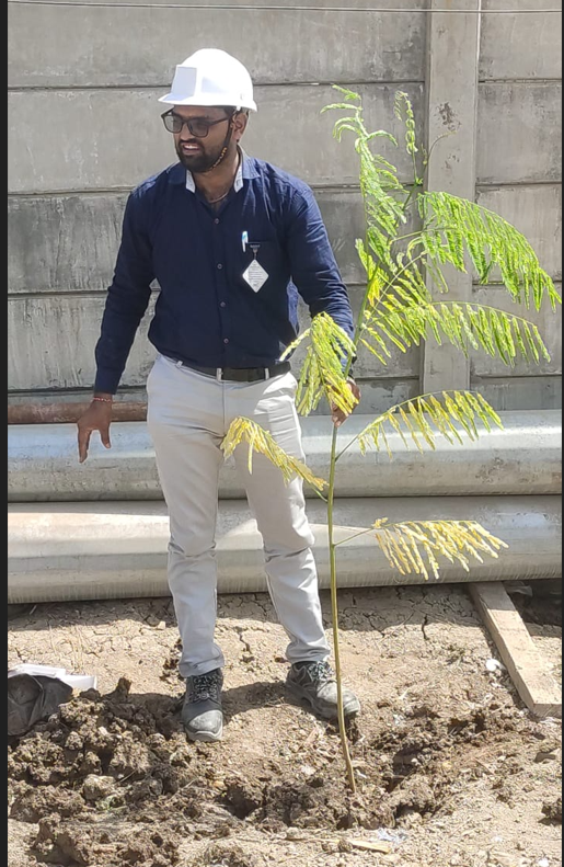 Plant