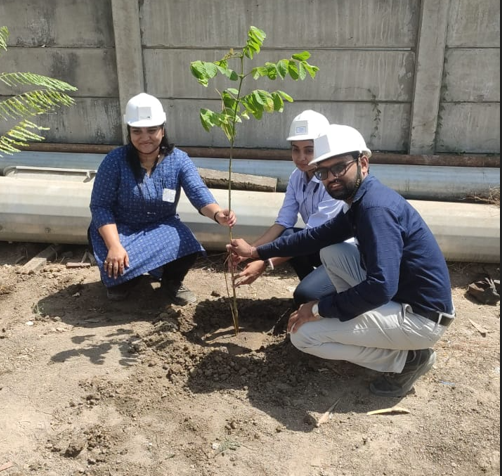 Plant