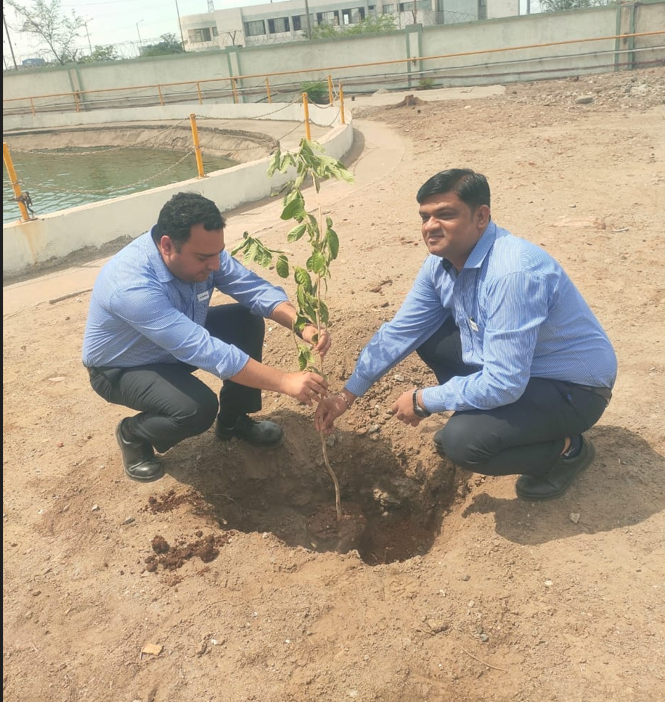 Plant