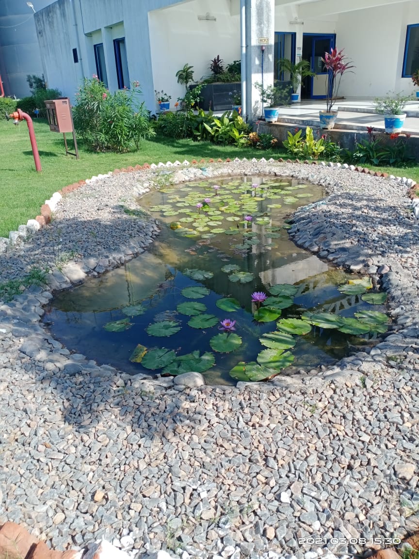 Plant