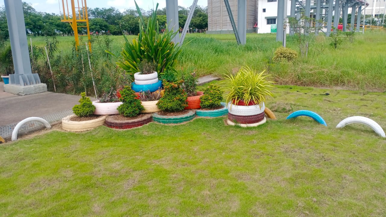Plant