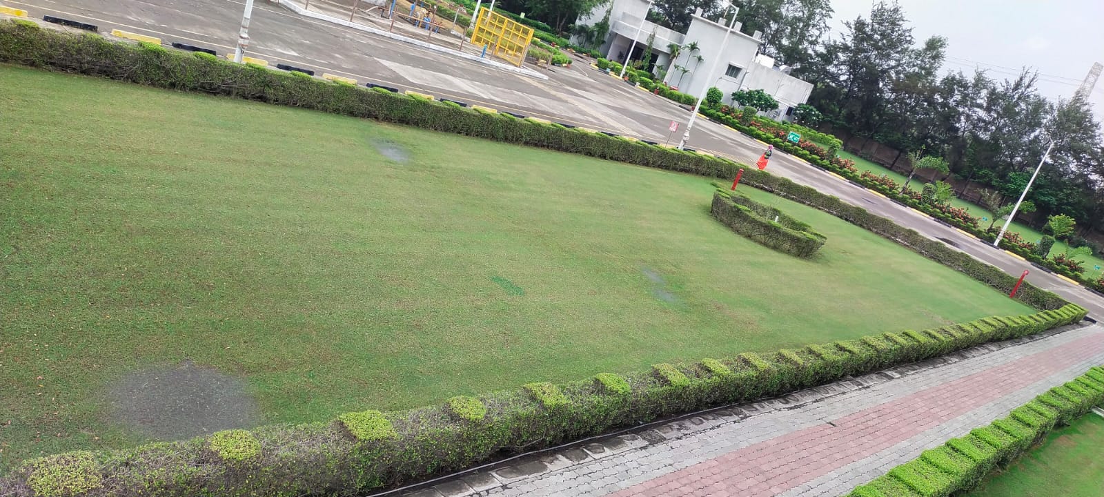 Plant