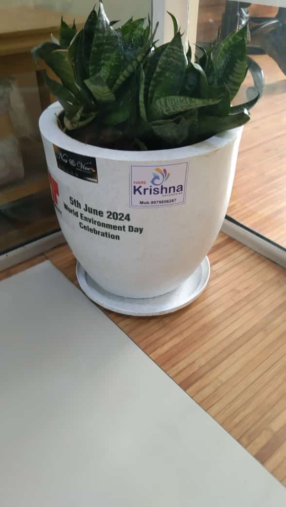 Plant