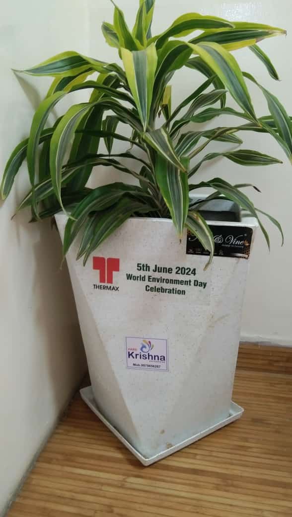 Plant
